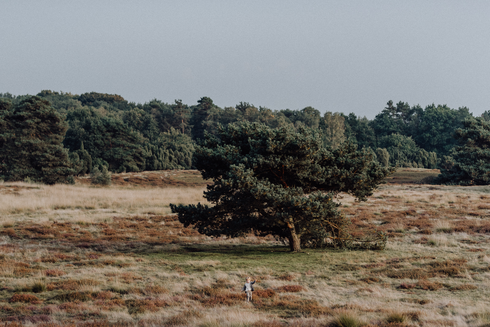 001-designparaplus-familienshooting-heide-boho 001-designparaplus-familienshooting-heide-boho