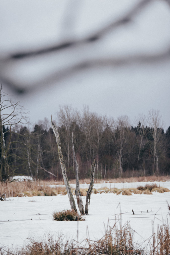 029-designparaplus-schneeshooting-heide-moor-paarshooting-fotograf-witten