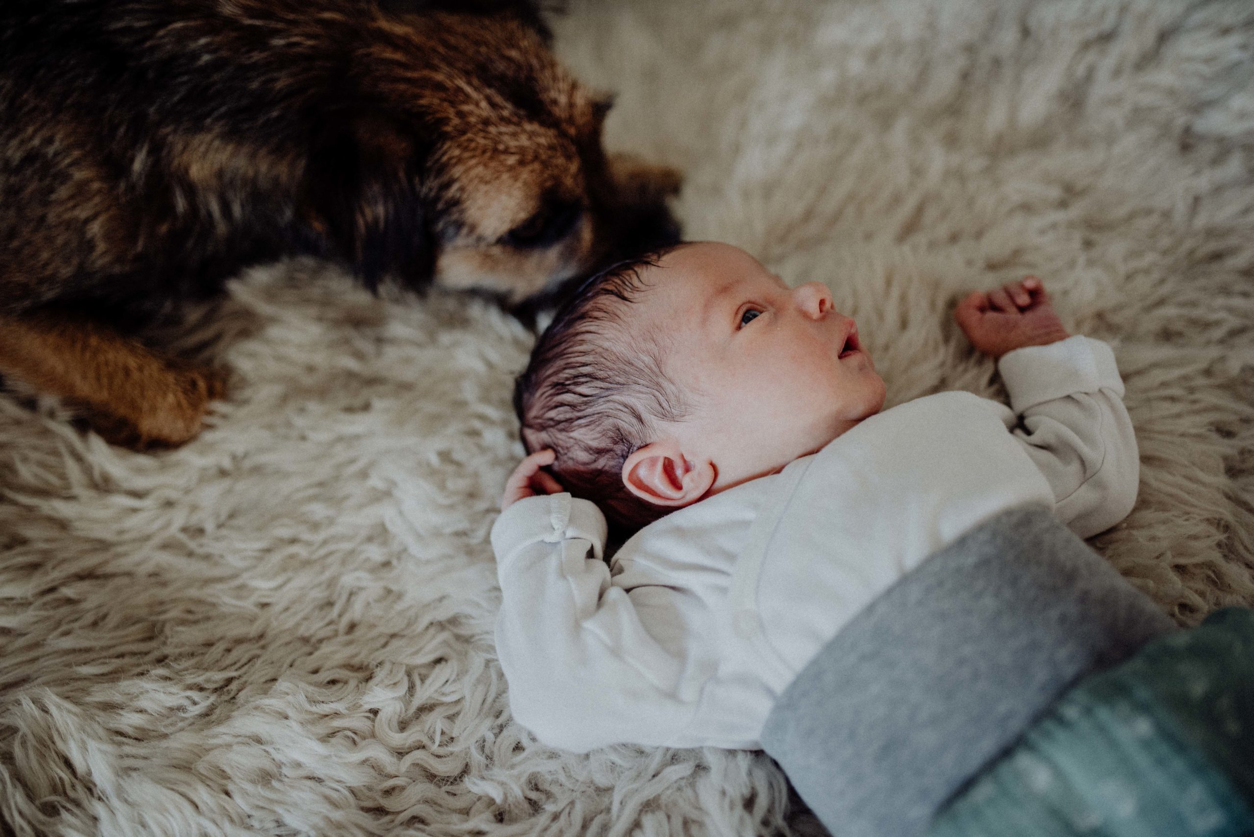 001-Witten-Homestory-Homesession-Newborn-Baby-Fotoshooting