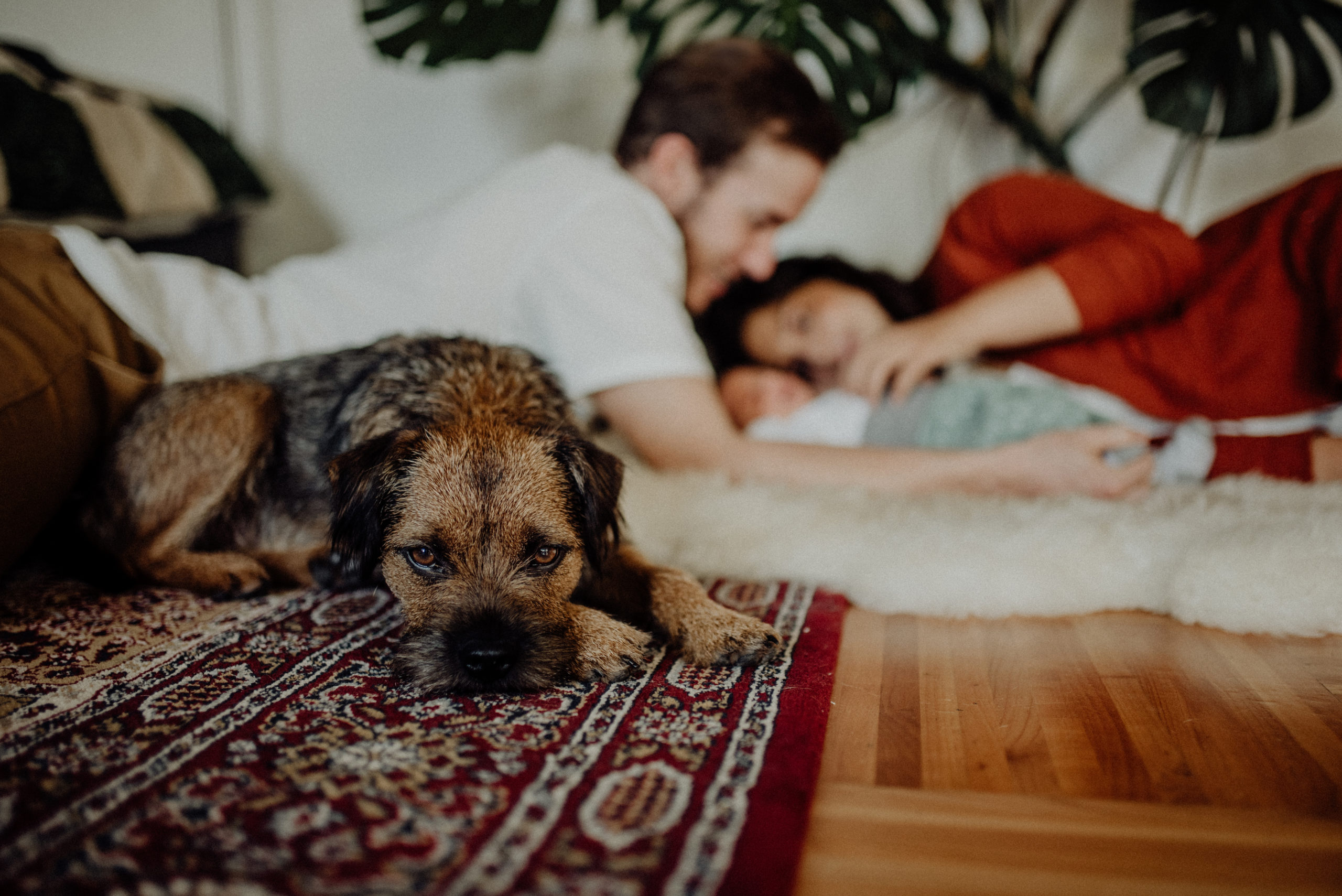 017-Witten-Homestory-Homesession-Newborn-Baby-Fotoshooting